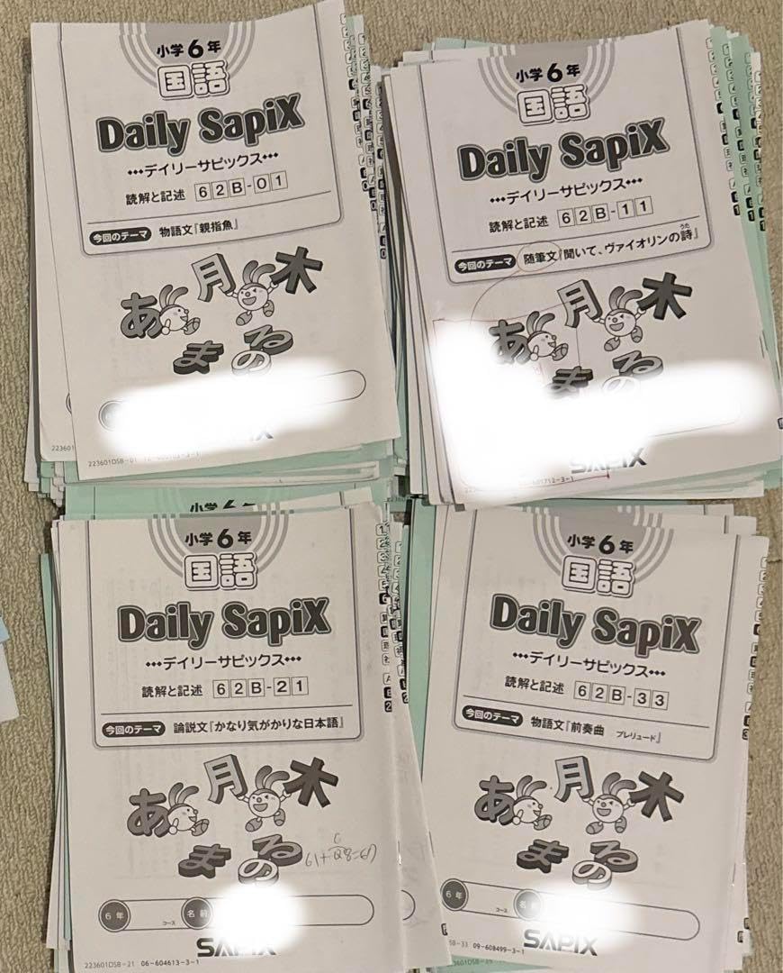 ㉔ひ サピックス SAPIX 6年 国語 読解と記述 一年分 ディリー